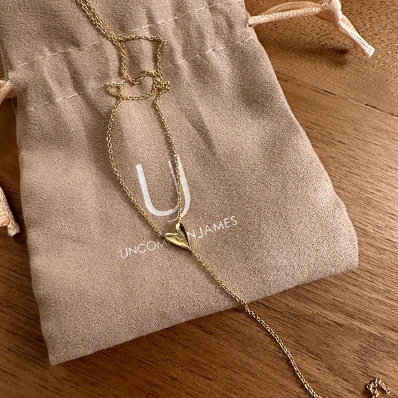 Uncommon James Amour Lariat Necklace - Picture 6 of 7